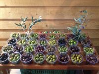 tsiovoulos_emporio_elias_agrinio_191