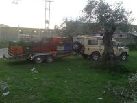 tsiovoulos_emporio_elias_agrinio_201