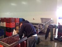 tsiovoulos_emporio_elias_agrinio_211