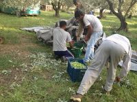 tsiovoulos_emporio_elias_agrinio_301